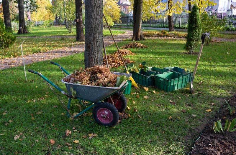 Leaf Collection in Bins